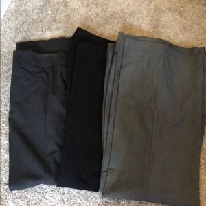 New York and Company